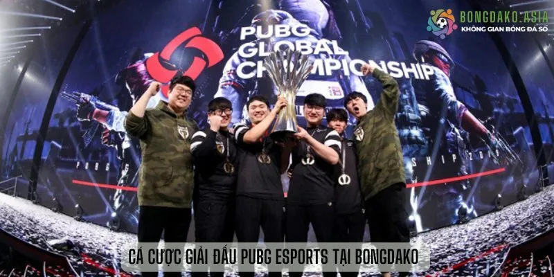Cá cược Giải đấu PUBG Esports tại bongdako