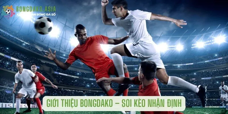 soi kèo nhận định tại bongdako