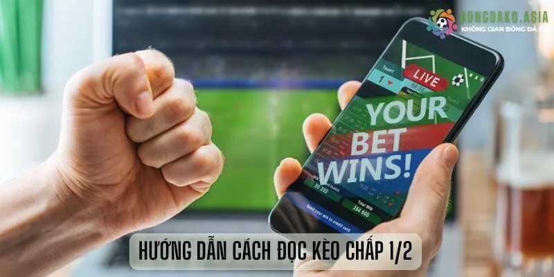 HƯỚNG DẪN CÁCH ĐỌC KÈO CHẤP 1/2