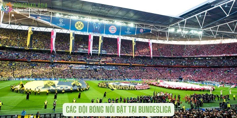 Các đội bóng nổi bật tại Bundesliga