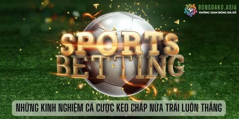 NHỮNG KINH NGHIỆM CÁ CƯỢC KÈO CHẤP NỬA TRÁI LUÔN THẮNG