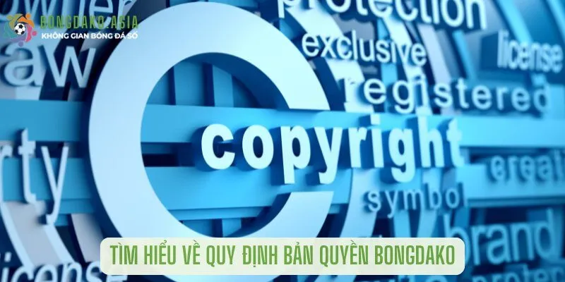 Tìm hiểu về quy định bản quyền bongdako
