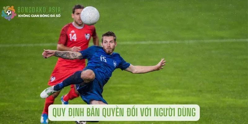 quy định bản quyền về bản tin hot