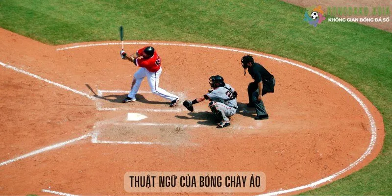 Thuật ngữ của bóng chày ảo