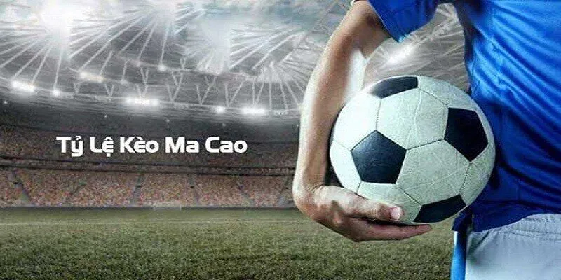 Tỷ Lệ Kèo Macau - Cách Xem Kèo Chuẩn Xác Cho Người Mới Tại Bongdako